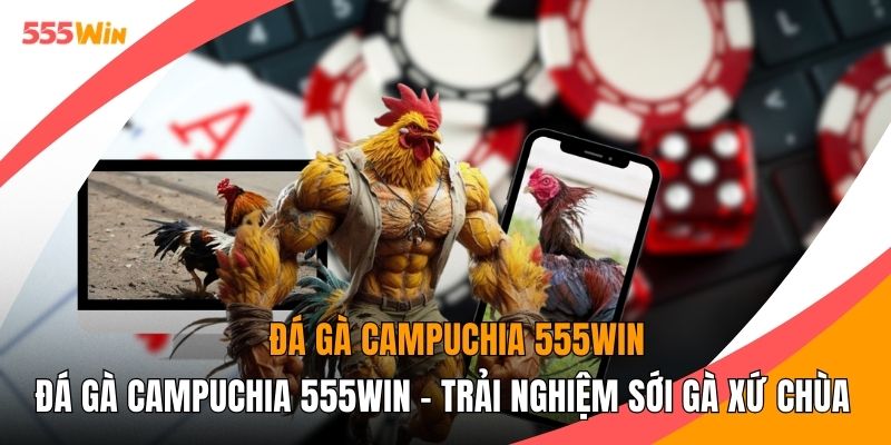 Đá Gà Campuchia 555WIN - Trải Nghiệm Sới Gà Xứ Chùa Tháp