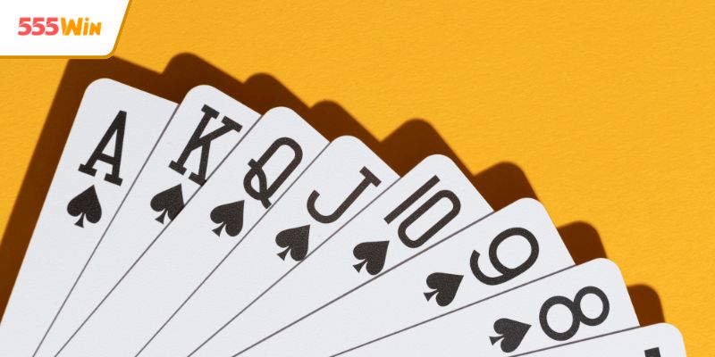 Nhiều lợi ích hấp dẫn cho thành viên