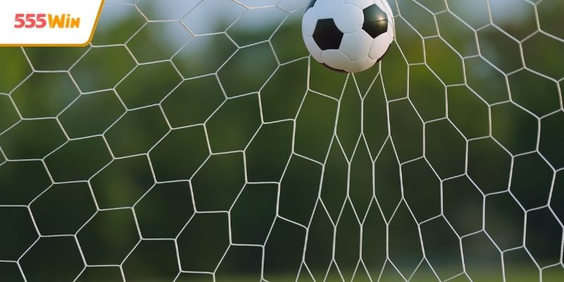 Tiêu chí nhận biết cá độ thể thao uy tín chuẩn xác